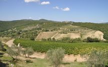 Photos éffectuées par les clients de Contessa di Gaiole