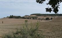 Photos éffectuées par les clients de Casali Dell Osteria