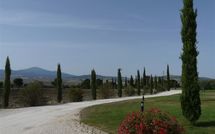 Photos éffectuées par les clients de Casali Dell Osteria