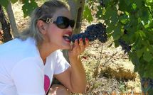 Photos éffectuées par les clients de Podere Il Doccio