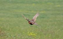 Photos éffectuées par les clients de Podere Cunina