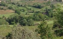 Photos éffectuées par les clients de Agriturismo Paterno