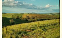 Photos éffectuées par les clients de Villa San Filippo