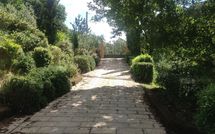 Photos éffectuées par les clients de Le Rondini