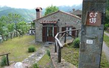 Photos éffectuées par les clients de Paradiso