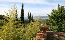 Photos éffectuées par les clients de Le Pergole