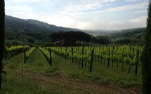 Photos éffectuées par les clients de Montescalari