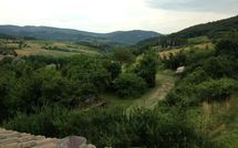 Photos éffectuées par les clients de Casa Monica