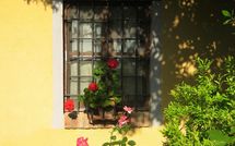 Photos éffectuées par les clients de Limoni