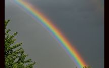 Photos éffectuées par les clients de Limoni