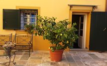 Photos éffectuées par les clients de Flavia