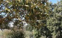 Photos éffectuées par les clients de Casa Felice