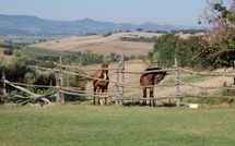 Photos éffectuées par les clients de Casale Vittoria