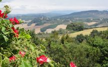 Photos éffectuées par les clients de La Chiesina di Vittorio