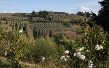Photos éffectuées par les clients de Borghetto