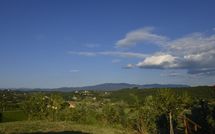 Photos éffectuées par les clients de Collina