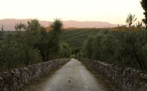 Photos éffectuées par les clients de Collina