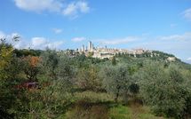 Photos éffectuées par les clients de Podere degli Olivi