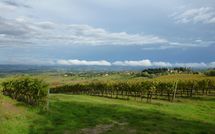 Photos éffectuées par les clients de Podere degli Olivi