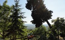 Photos éffectuées par les clients de Borgo del Castagno