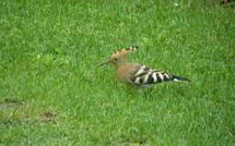 Photos éffectuées par les clients de Casa Lucia