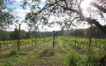 Photos éffectuées par les clients de Fattoria le Poggiola