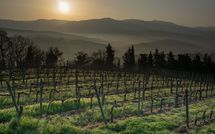 Photos éffectuées par les clients de Tenuta