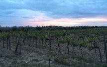 Photos éffectuées par les clients de Agriturismo la Papessa