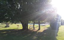 Photos éffectuées par les clients de Villa Fontine