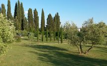 Photos éffectuées par les clients de Villa Fontine