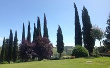 Photos éffectuées par les clients de Casa Sabrina