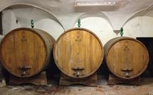 Photos éffectuées par les clients de Villa del Mughetto