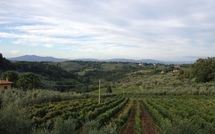 Photos éffectuées par les clients de Villa del Mughetto