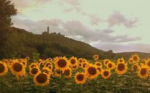 Photos éffectuées par les clients de Casa San Martino