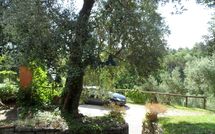 Photos éffectuées par les clients de Tenuta Villa la Chiusa Schnautzer