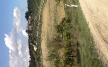 Photos éffectuées par les clients de Villa Gallo Nero