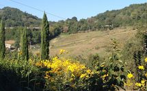 Photos éffectuées par les clients de Villa Molinaccio