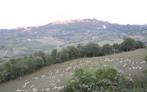 Photos éffectuées par les clients de Villa Nibbiano