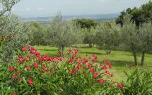 Photos éffectuées par les clients de Villa Nibbiano