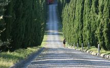 Photos éffectuées par les clients de Le Gallozzole