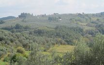 Photos éffectuées par les clients de Montegufoni