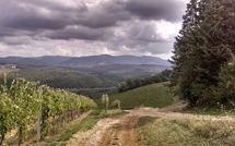 Photos éffectuées par les clients de Tenuta