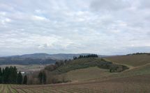 Photos éffectuées par les clients de Mercatale