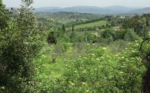 Photos éffectuées par les clients de Villa Saladini