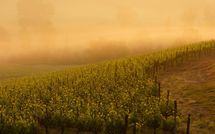 Photos éffectuées par les clients de Casa Simona