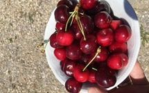 Photos éffectuées par les clients de Villa Eden