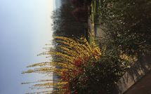 Photos éffectuées par les clients de Casa Sabrina