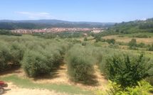 Photos éffectuées par les clients de Villa Alabastro