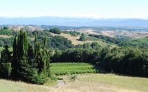 Photos éffectuées par les clients de Villa Isabella