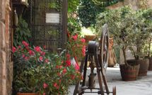 Photos éffectuées par les clients de Nel Guasto